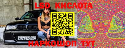стаф Пенза