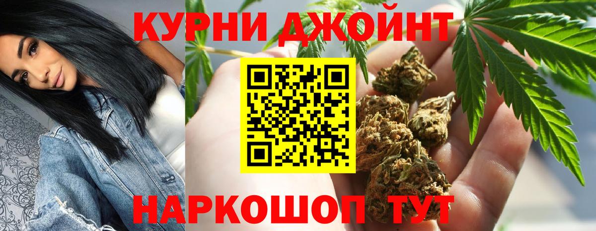 Бошки Шишки планчик Приморско-Ахтарск